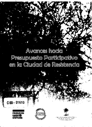 Avances hacia presupuesto participativo en la ciudad de resistencia